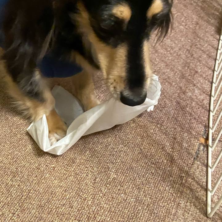 9d901f1c e2bb 44cd 8bfe fd6dd5f18647 1733141398708