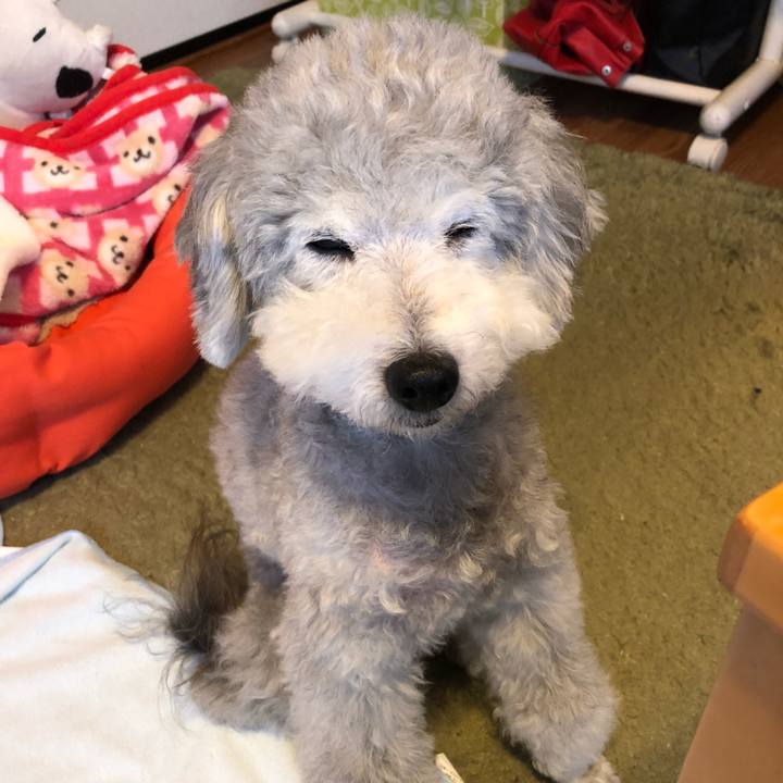 9d903447 c30d 4449 b44d e7643b2fbce5 1524044532900