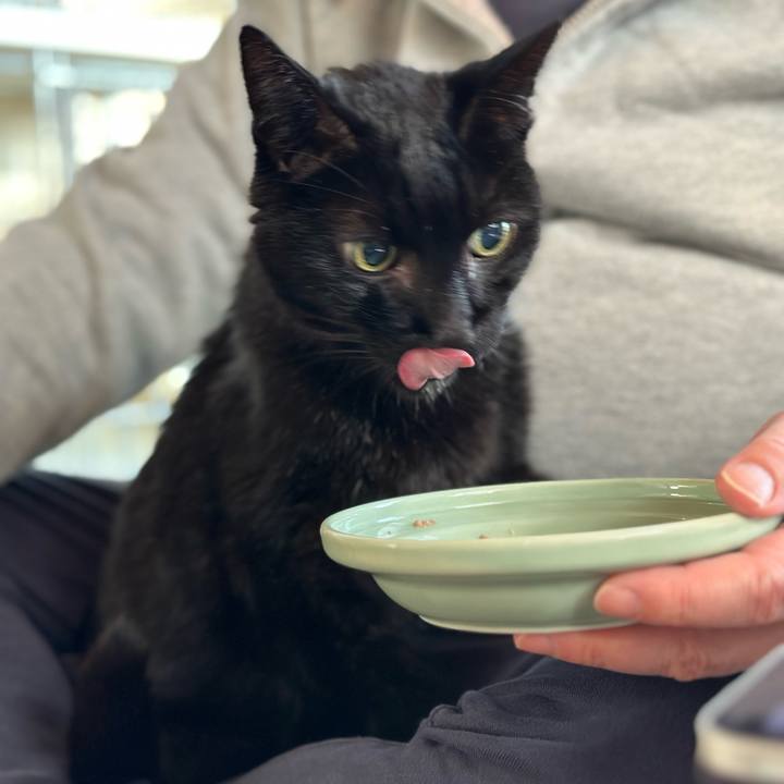 9d903c6b 4976 4cd4 b254 c787572ed1a6 1703815340455