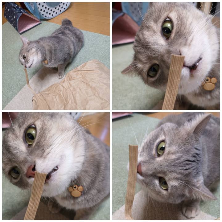 9d904668 393e 4d41 9d81 efbb178d2fc9 1596770885081