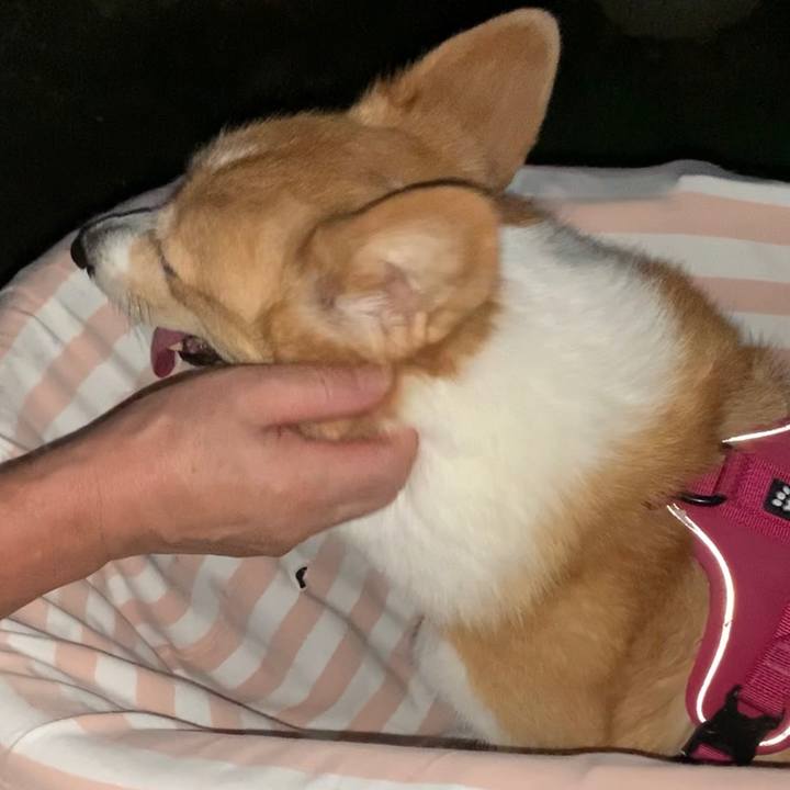 9d90545f cc90 4898 b269 4ae553fb4622 1694684155676