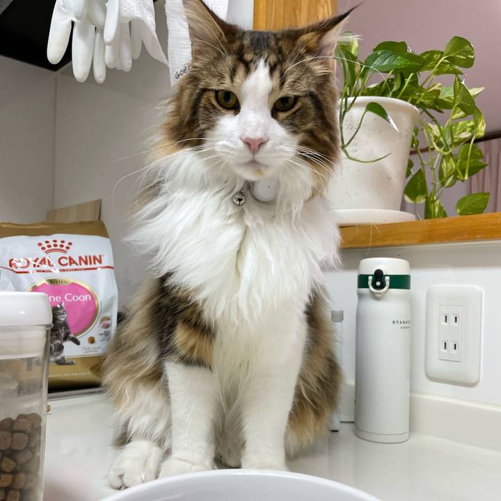 9d907079 d52f 428c ae7c 3f588a58e36d 1646165613271