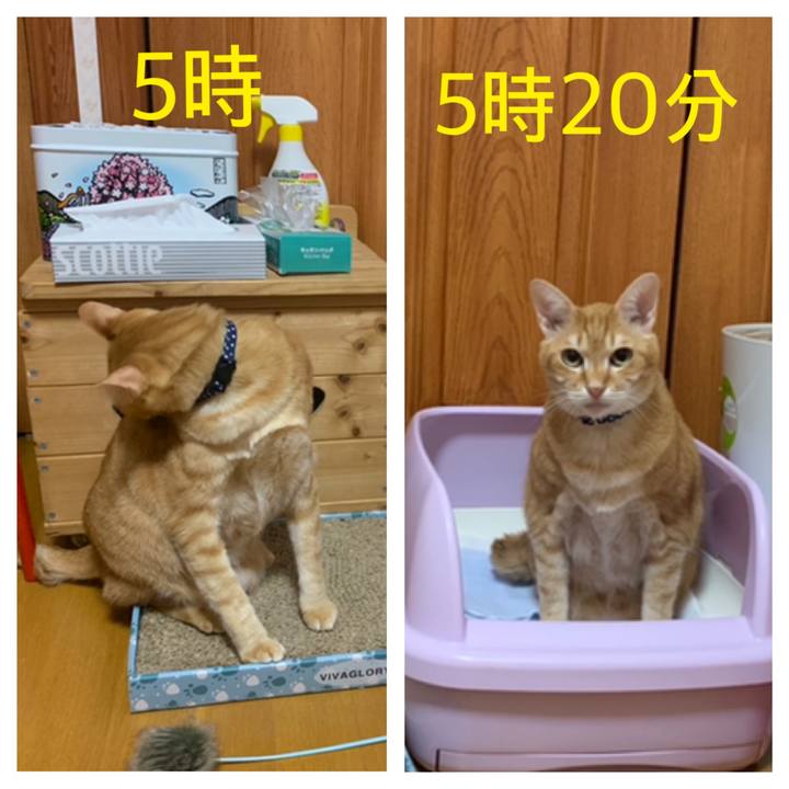 9d90a269 9a40 4885 a9a7 c429971175db 1584304331887