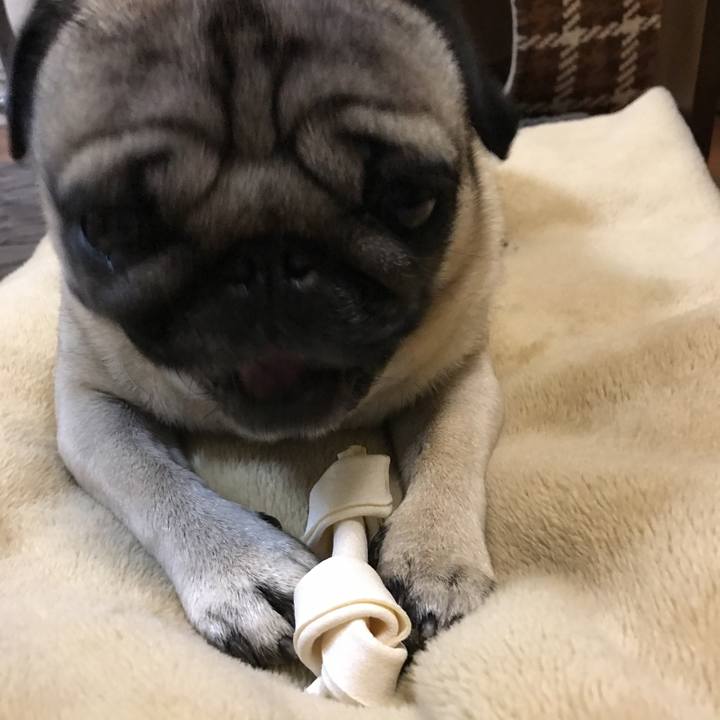 9d90e9aa 2ba0 4ee5 bbcf f319ae5d0f19 1510915757730