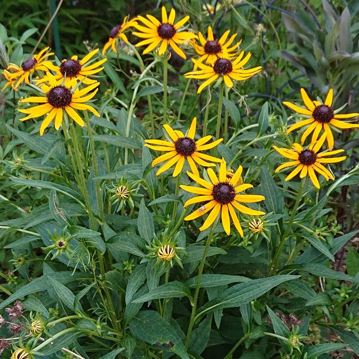 9d9141e3 7878 4168 80ce 289f41c5423f 1657342511383