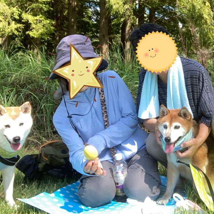 9d914d80 ea45 433f 8d68 2343a4cdc676 1726204712134