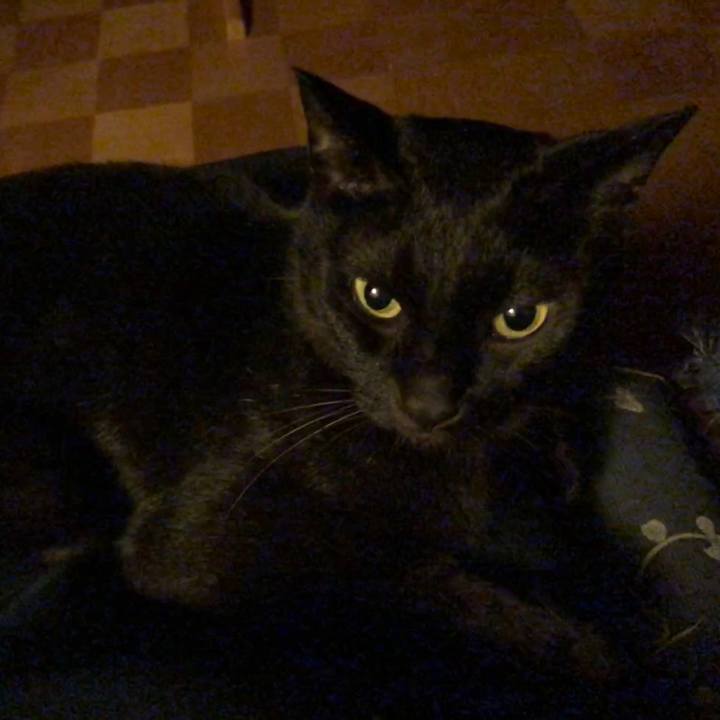 9d9169ce 6a94 4021 9a6a 567c1f3bfac2 1724666779170