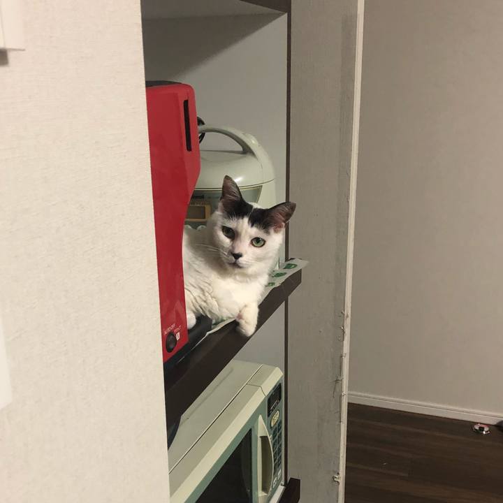 9d916c10 0ee9 48c5 beee 57bd8521ef99 1596670330388