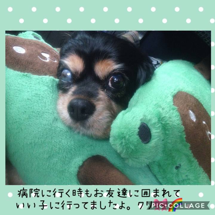 9d9179ac 38b2 40c9 9549 5377f48218ab 1589011449472