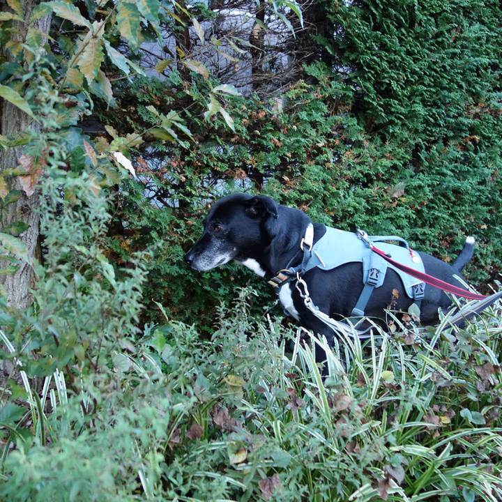 9d91a7b7 837d 4b44 a267 e0915af69f3b 1732237858954