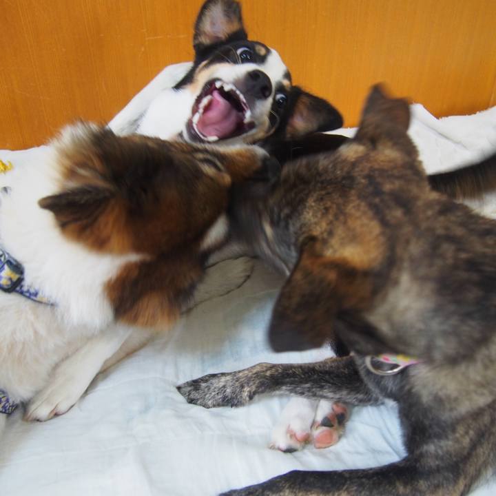 9d91b397 4a55 486f a7ac b8f024de6728 1567211394079