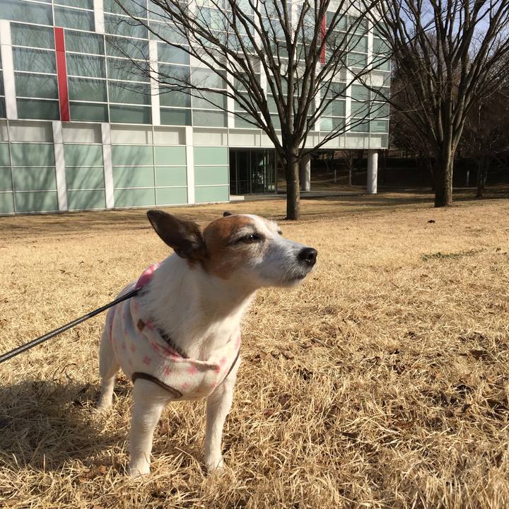 9d91bee9 323e 447e 9118 df876d1cd4bb 1646525130700