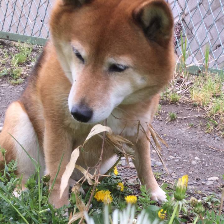 9d91d26d 6c86 4ecd 8539 9504c7f29c76 1556344728738