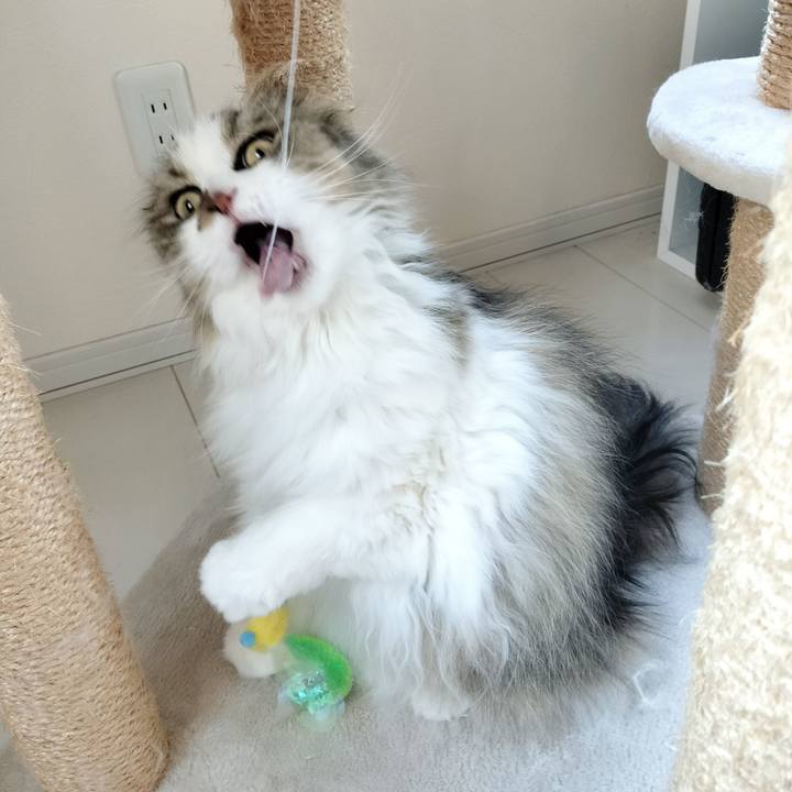 9d91d50f 7774 4aa9 be94 20b5ab34f829 1774832732344