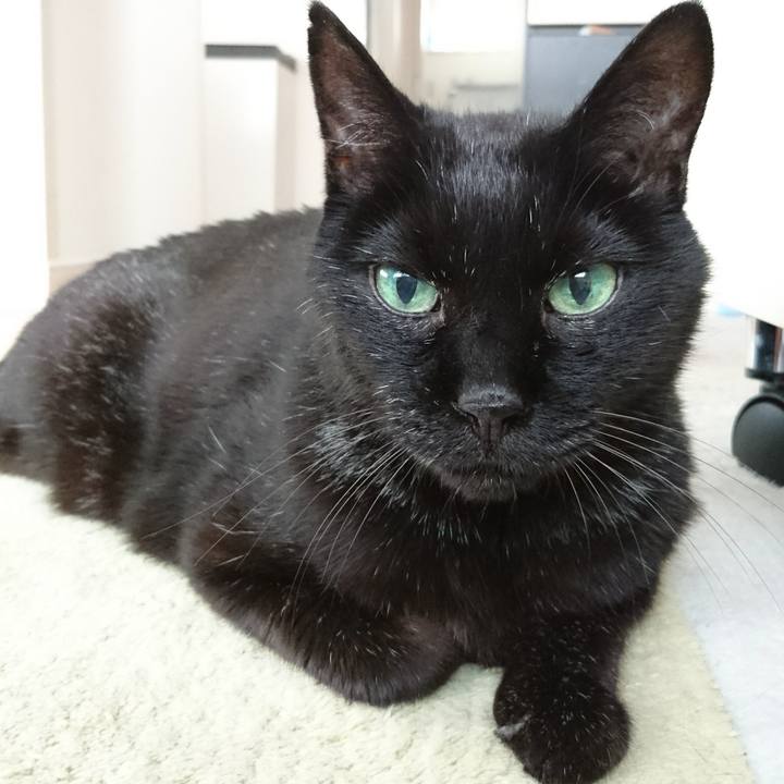 9d91e7c1 cf52 46c2 a369 0aa7df64091d 1560052337070