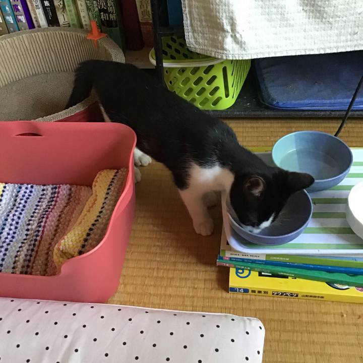 9d920aac b5f6 4b5a b2a6 83dcee984173 1626490579287