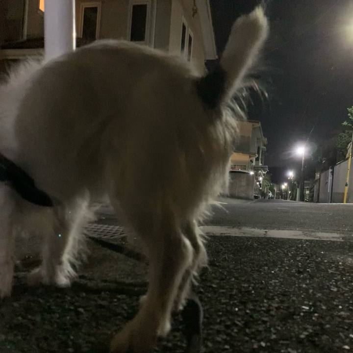 9d921ec6 08f4 49f3 aa8a 9bba06a6ee23 1730379662286