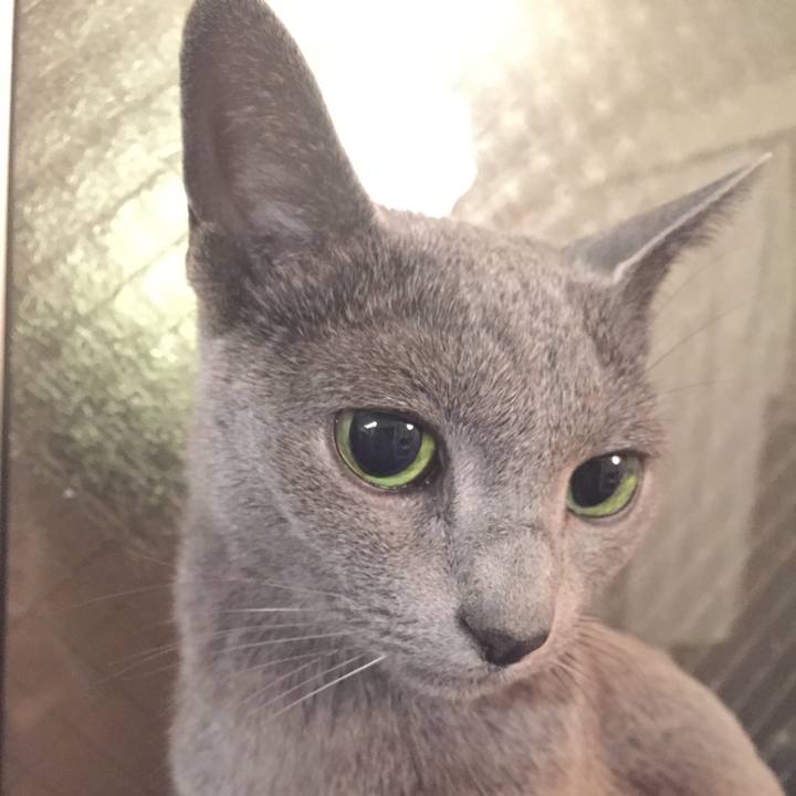 9d923ab8 ea1d 409a aa27 847e9c5f4a67 1622724177233