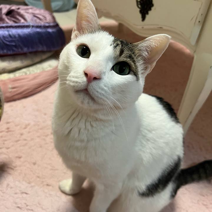 9d928b3f 5585 421d 8ef3 1cf540b8952c 1681784716826