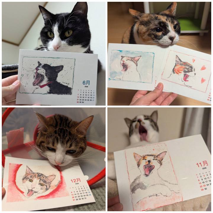 9d9296bf 0af4 4a5f 829a 0ce260edf996 1767794449633