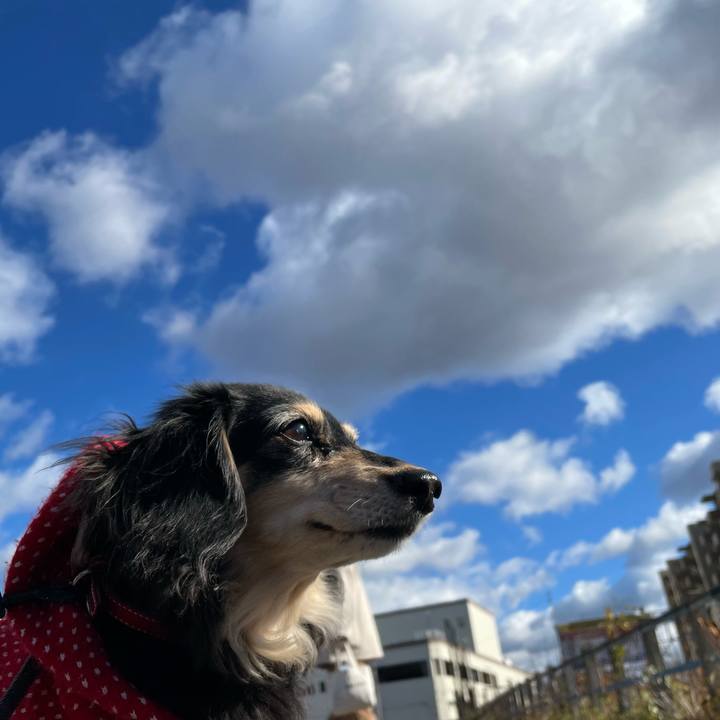 9d92dc0f e680 48e3 bdf6 8bea4c5b5e32 1641037442848