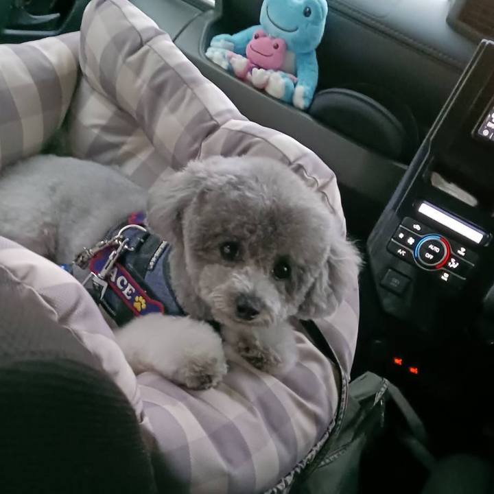 9d933bff a54d 46dd 9777 c71323f286aa 1772175914501