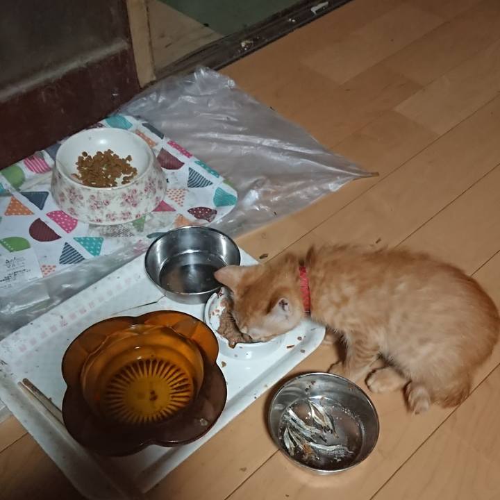 9d9355ca eeaf 4596 8bae 2db2efac6d09 1630442064411