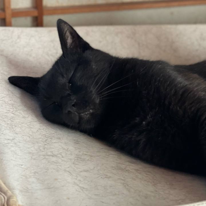 9d937265 6d19 405d a332 8bc014e3441c 1659655745230