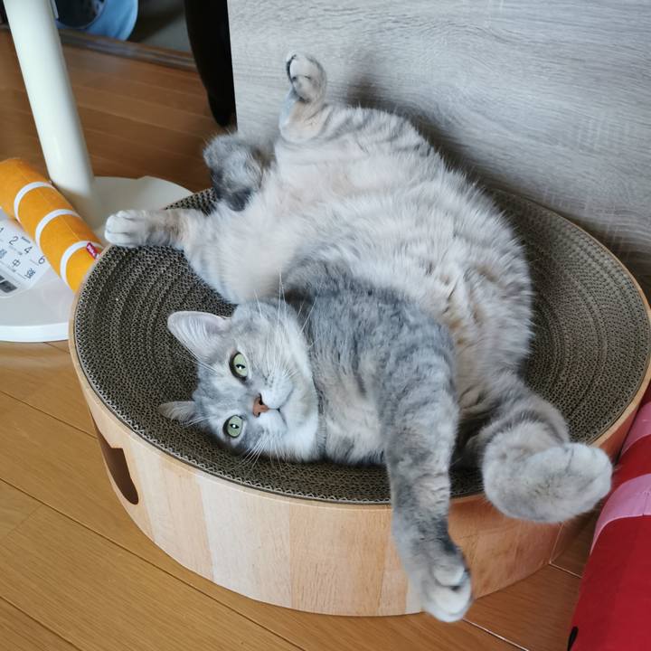 9d9373e2 1295 4464 86c5 7950579ed987 1663735723418