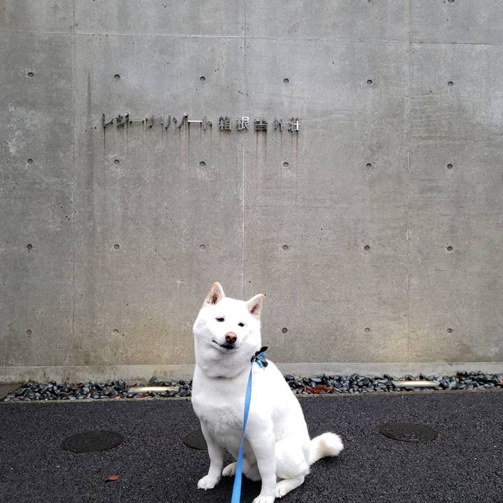 9d939376 51c2 4767 8017 0e43d2b93586 1552401363719