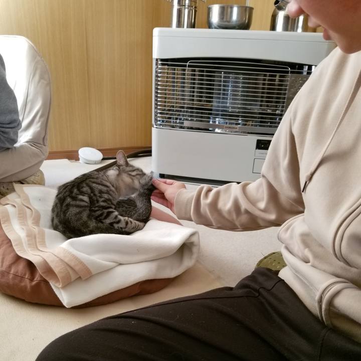 9d9395aa 4f15 49fe a2b5 ba5965c24630 1676694195807