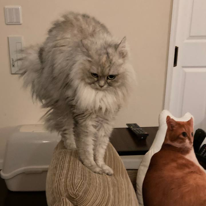 9d93b234 ebae 4234 9cde 47a0f9cd6ef6 1706617500448