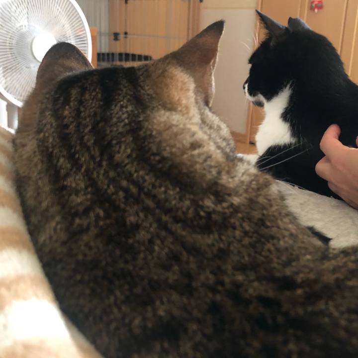 9d93e592 7c83 43f1 93f0 da83ce237420 1621459174565