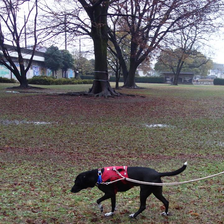 9d93f437 d6dc 409a 961d 621dcbb0b14e 1638318614089