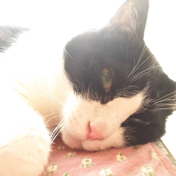 9d942c5a 1280 4356 91b4 c8e4dc24e40f 1555721993166