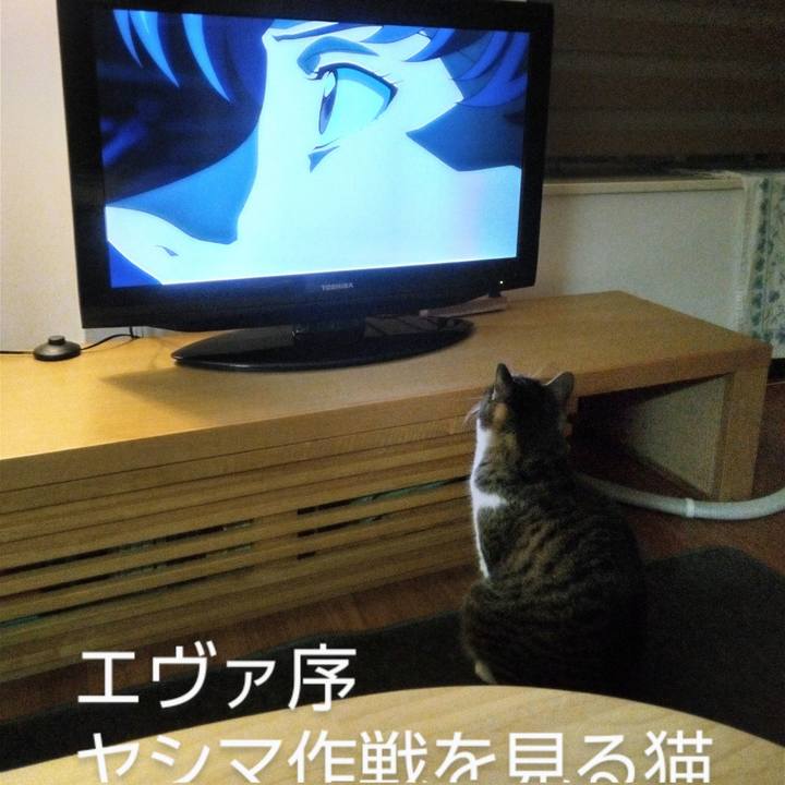 9d945868 c075 48df 9c8d 246345516234 1760487316372