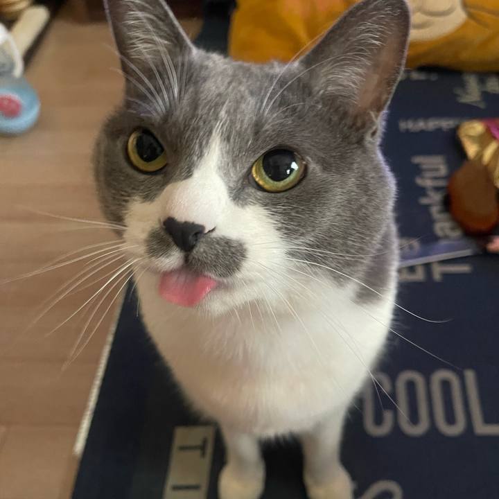 9d948224 e9ce 444a 8cfe 1a8f68663c4c 1740874839421