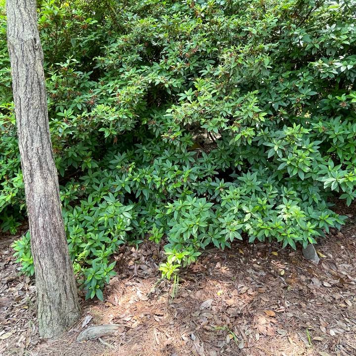 9d949d36 54a2 4ab2 8933 6beb0ae3088f 1621937115771