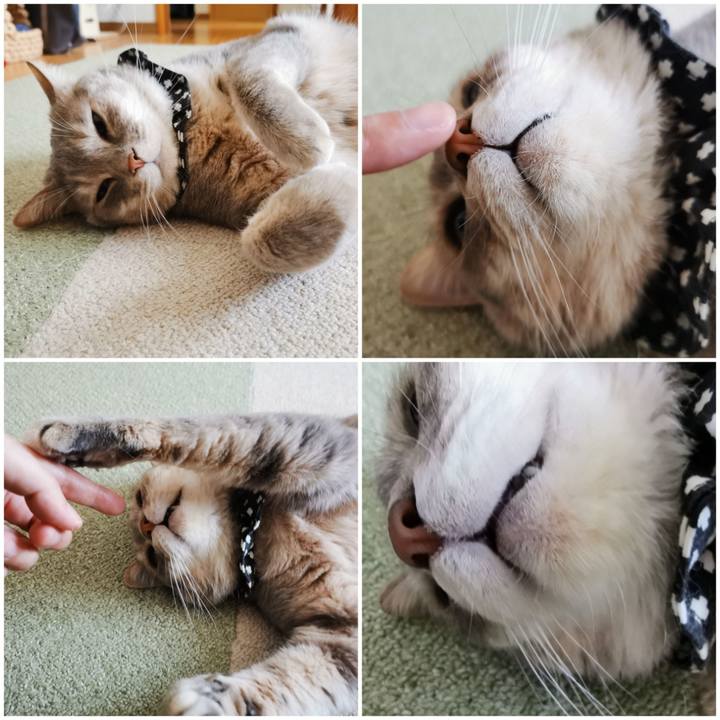 9d94afbd 2302 4aa7 bee6 b44b5d1db418 1654227038079