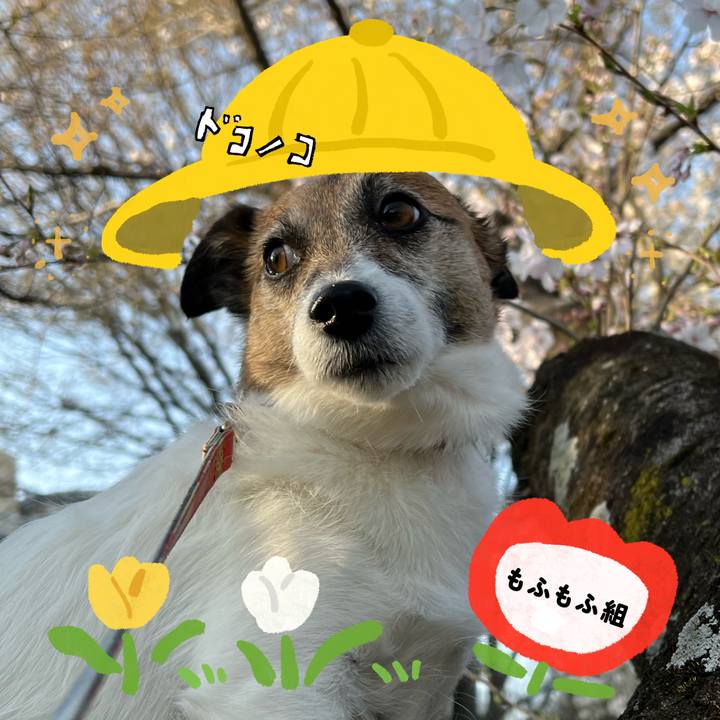 9d94cc8e af9c 46fb a72c c20f9e6538b6 1712216262809