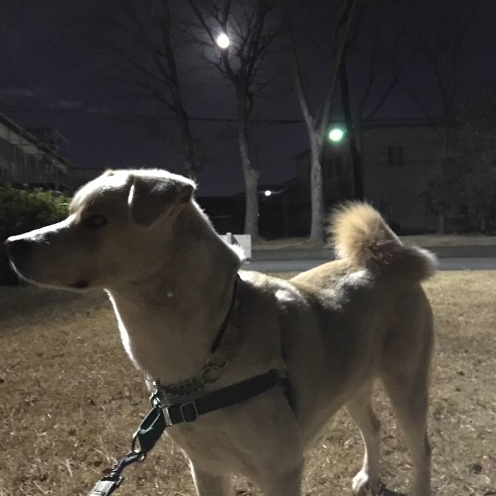 9d94ce48 a536 434e a34c 1b72a4b578ab 1514888782927