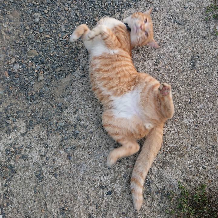 9d94d56e f66f 4efe 9a50 4b4642cb8cf3 1566853267641