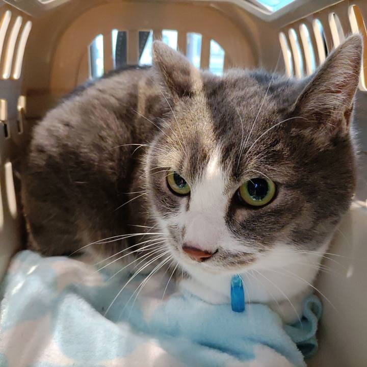 9d94f3ac c936 4e02 91ab 5fe7ceb7b43a 1720255968847