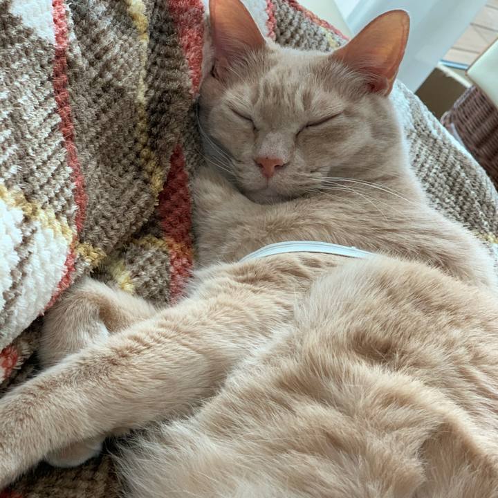 9d9505f1 9375 4c11 b1a2 d0f9356c15d6 1584255078331