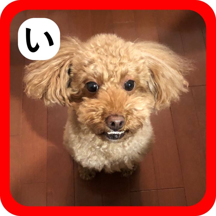 9d952c1f c1a3 4956 a847 b72d81d80cfe 1514792350586