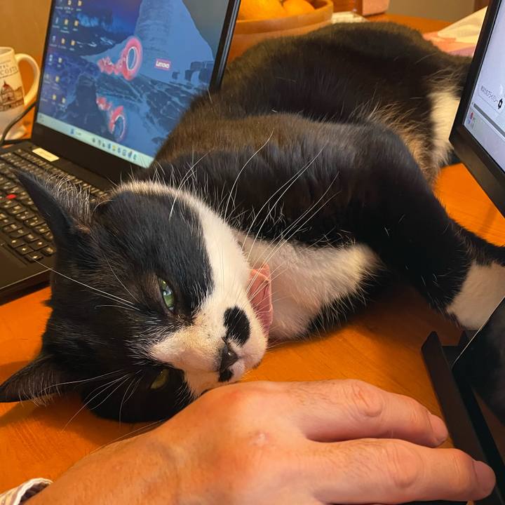 9d9559a6 5044 49bf b212 eb841561a408 1712623465641