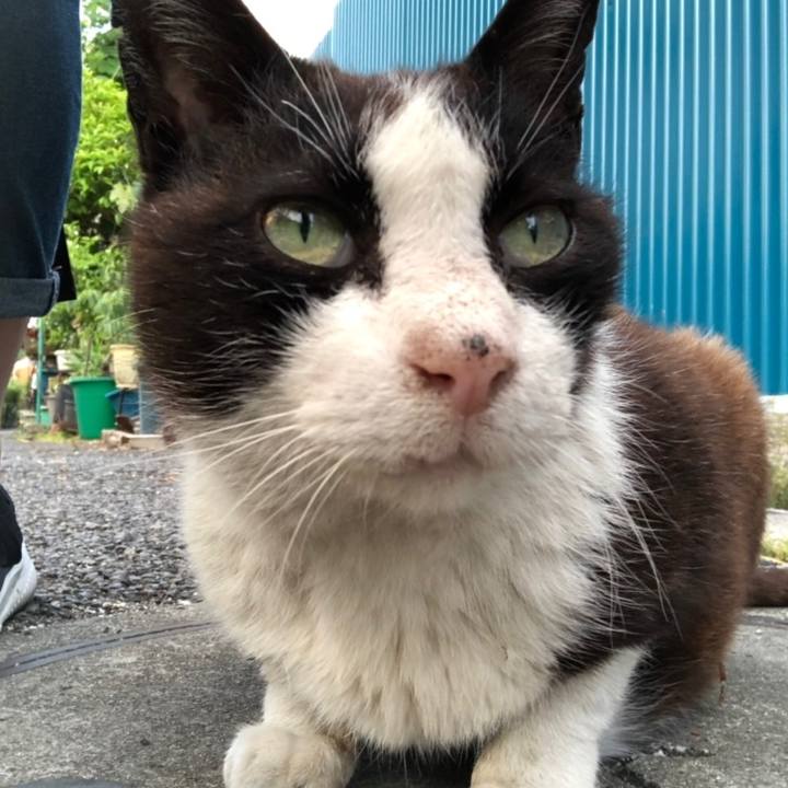 9d95857a 81b8 4d25 ad5d dcc182948bce 1558367389010