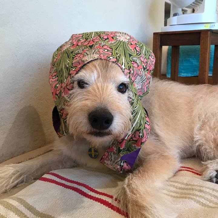 9d95e5a8 7cf8 4433 9cc4 938a2bd753d7 1565530187906