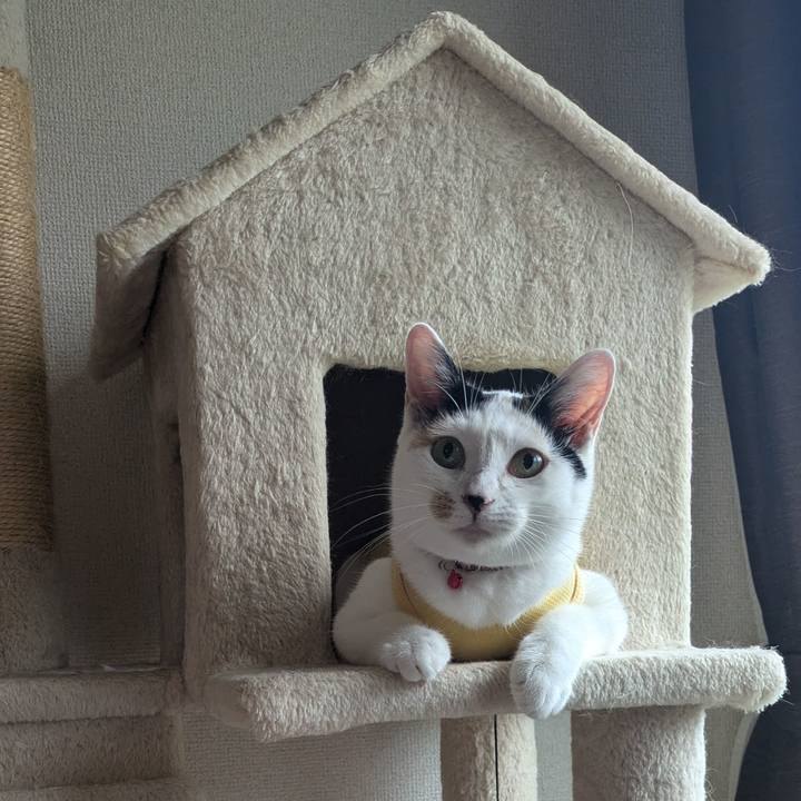 9d96175f e4b5 460d bb33 c621f319850f 1726534622039