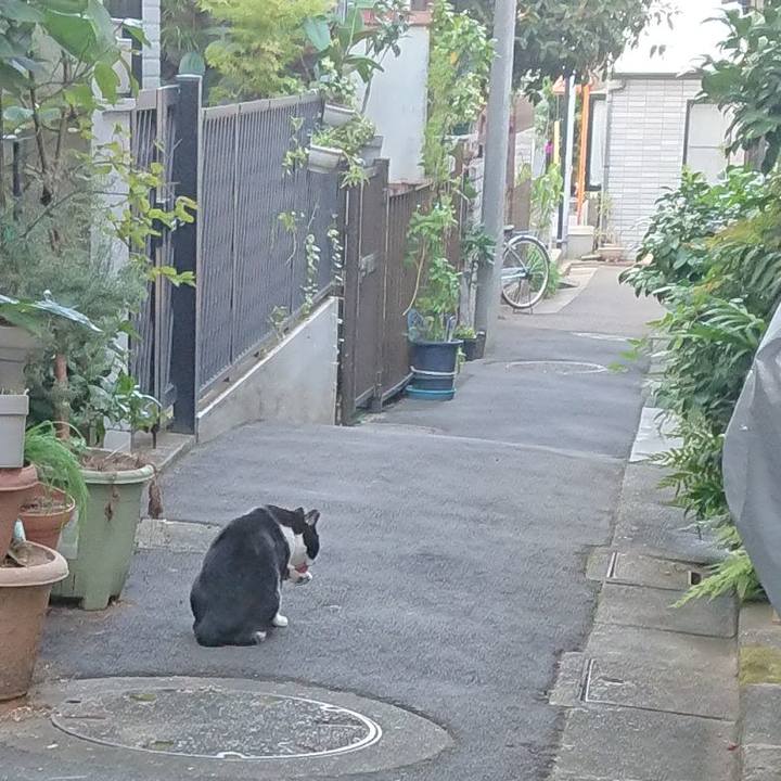 9d963638 bacf 451f 9eae 3f4b6dd5ebc8 1698189808187